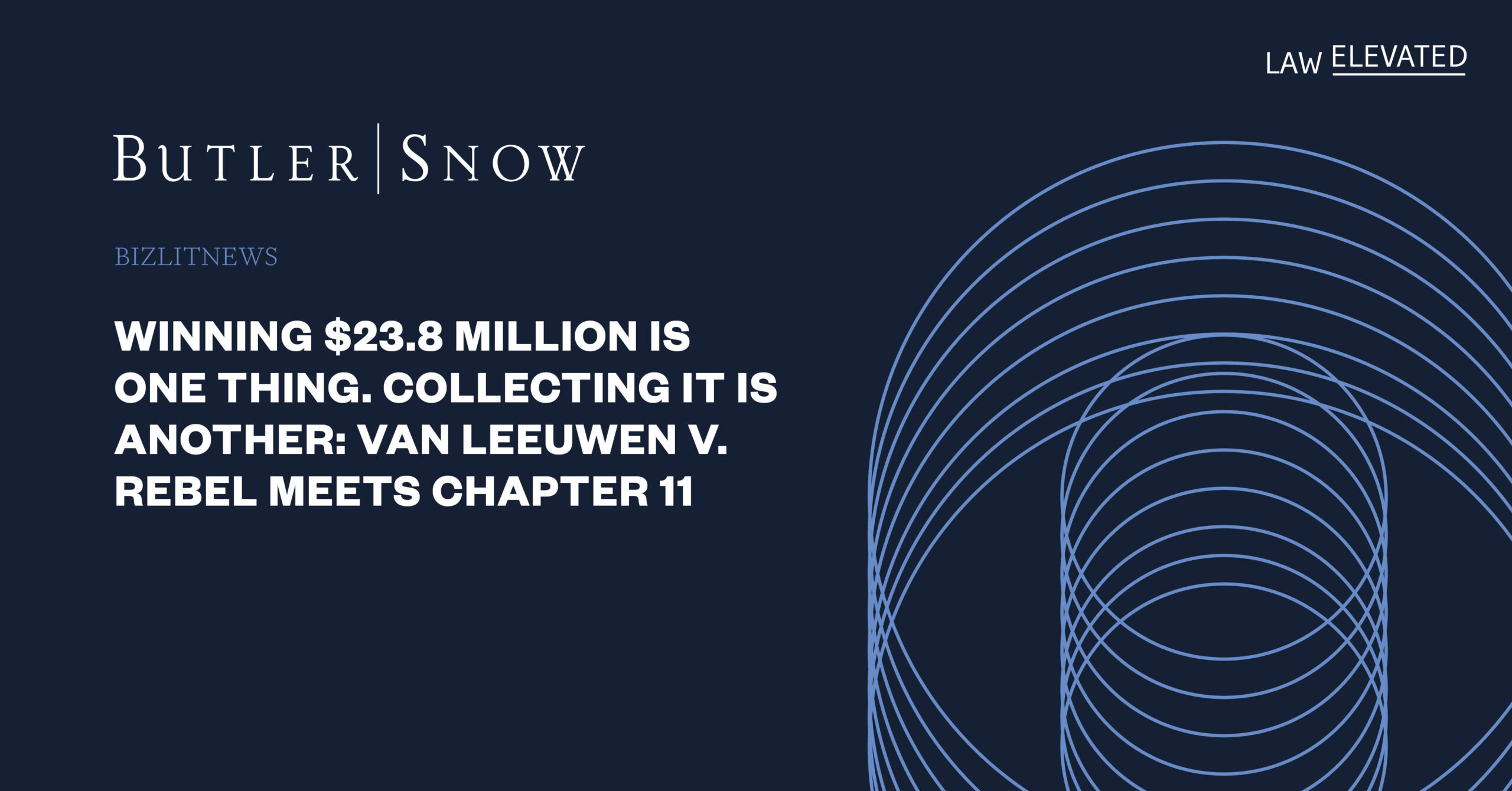 Winning $23.8 Million Is One Thing. Collecting It Is Another: Van Leeuwen v. Rebel Meets Chapter 11